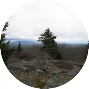 Pratt Mountain