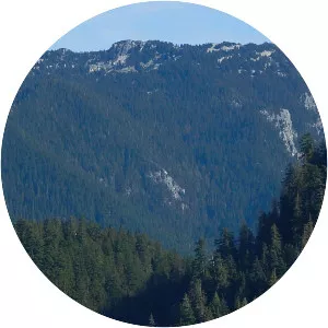 Preacher Mountain - Summit in Washington