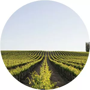 Precept Wine, LLC - Company