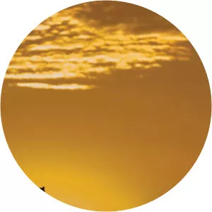 Predator BloodlinesSince 2020