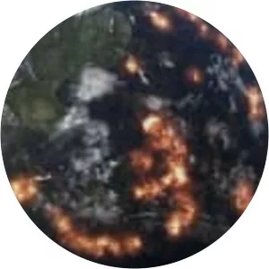 Prehistoric Disasters - TV program