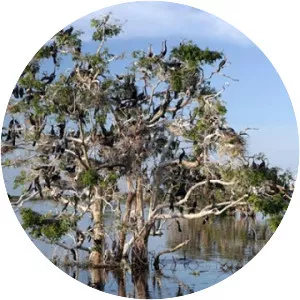 Prek Toal Bird Sanctuary Biosphere Reserve - 