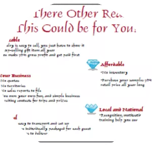 Premier Designs, Inc.