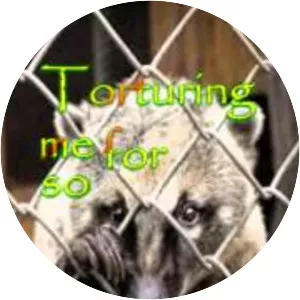 Premortal Breath - Musical artist