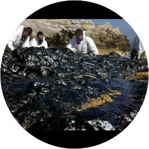Prestige oil spill - Environmental disaster