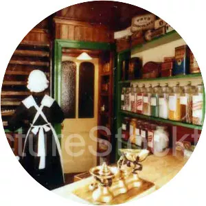 Preston Hall Museum - Museum in Stockton-on-Tees, England