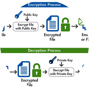 Pretty Good Privacy - Software
