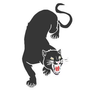 Pretty Panther - Musical artist