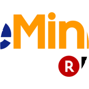 Priceminister - E-commerce company