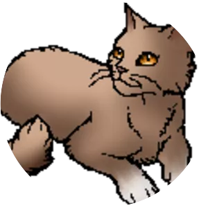 Primrosepaw - Fictional character