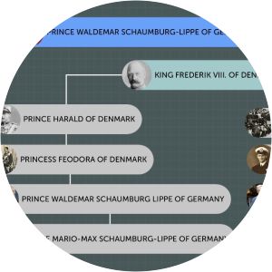 Prince Harald of Schaumburg-Lippe