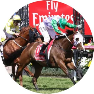 Prince of Penzance - Horse