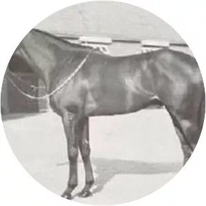 Princely Gift photograph