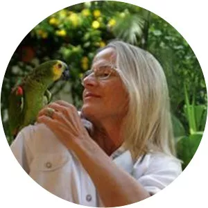 Princess Maria Gabriela of Orleans-Bragança - Painter