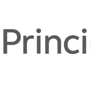 Principal - Financial investment management company