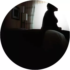 Private Violence - 2014 ‧ Drama/Documentary ‧ 1h 21m