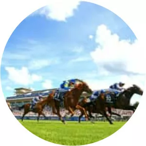 Prix du Jockey Club - 
