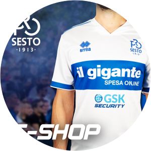 Pro Sesto 1913 - Football club