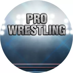 Pro Wrestling - TV program