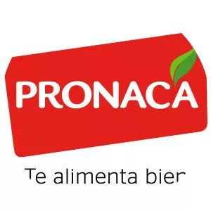 Procesadora Nacional de Alimentos C. A.