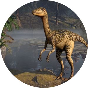 Procompsognathus