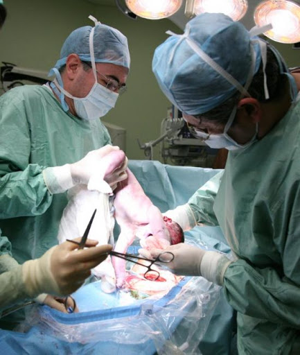 Prof. Dr. Murat Yayla