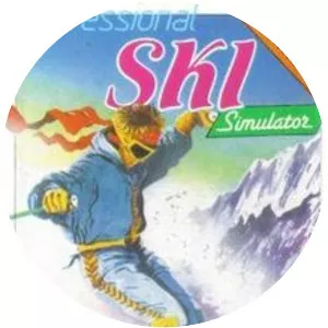 Professional Ski Simulator
