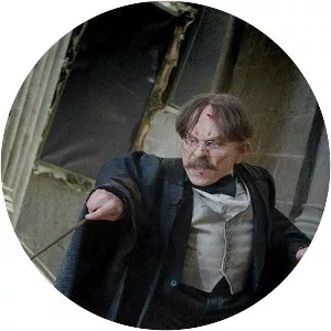 Professor Filius Flitwick - Harry Potter character