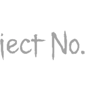 Project No. 9 photograph