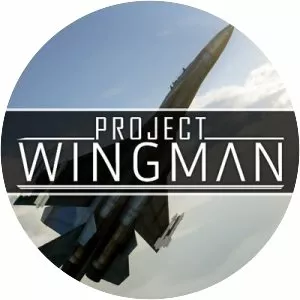 Project Wingman - Video game