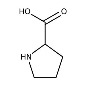 Proline - Amino acid