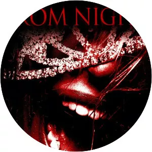 Prom Night - 2008 ‧ Thriller/Mystery ‧ 1h 30m