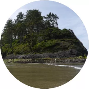 Proposal Rock - Island in Oregon