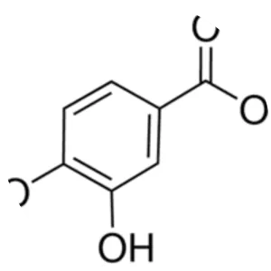 Protocatechuic acid - 