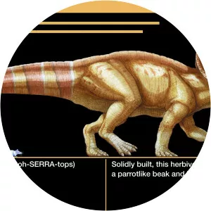 Protoceratops