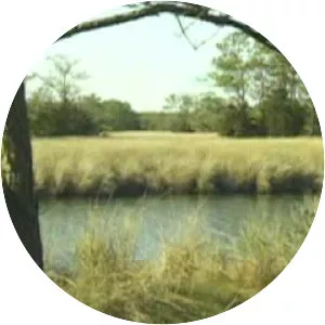 Province of North Carolina