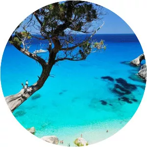 Province of Ogliastra