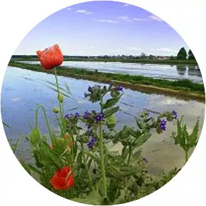 Province of Vercelli