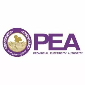 Provincial Electricity Authority - Company