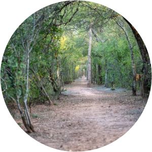 provincial Loro Hablador Park