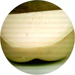 Provolone