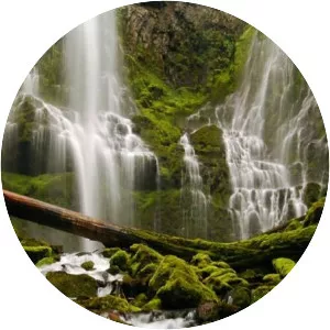 Proxy Falls - Waterfall in Oregon