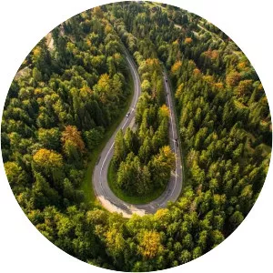 Przełęcz Salmopolska - 