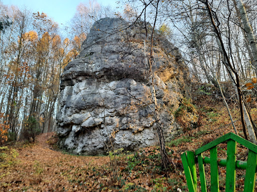 Przy Brzozie - Tourist attraction in Zarki, Poland