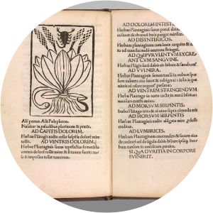 Pseudo-Apuleius photograph