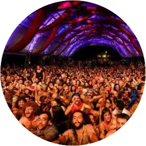 Psicodália - Music Festival