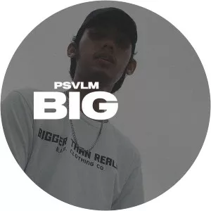 Psvlm - Musical artist