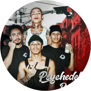 Psychedelic Boyz - Musical artist