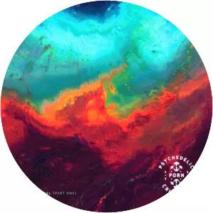 Psychedelic Porn Crumpets - Musical group