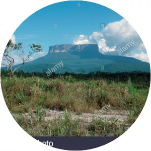 Ptari-tepui - Summit in Venezuela
